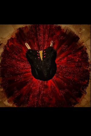 Spanish Dance Tutu