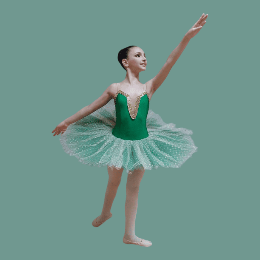 Art. 955